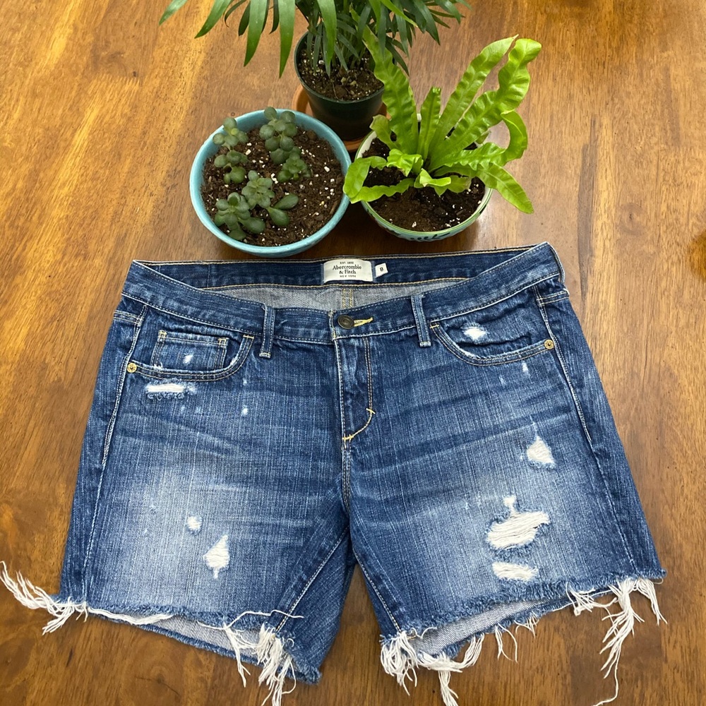 Abercrombie & Fitch Denim Shorts Size 8